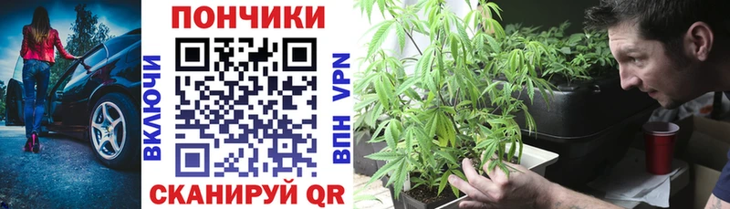 Каннабис OG Kush  Александров 